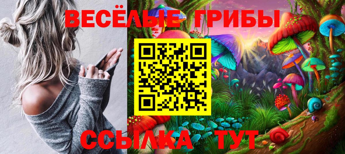 Галлюциногенные грибы Psilocybine cubensis Дубна